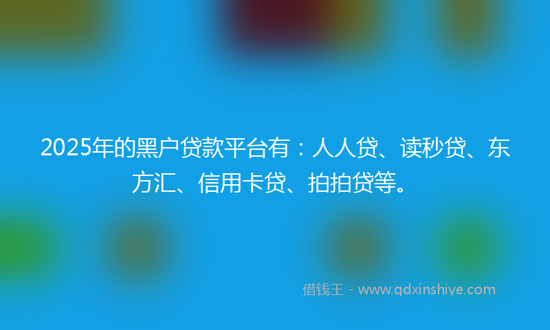 2025年的黑户贷款平台有：人人贷、读秒贷、东方汇、信用卡贷、拍拍贷等。