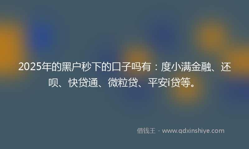 2025年的黑户秒下的口子吗有：度小满金融、还呗、快贷通、微粒贷、平安i贷等。