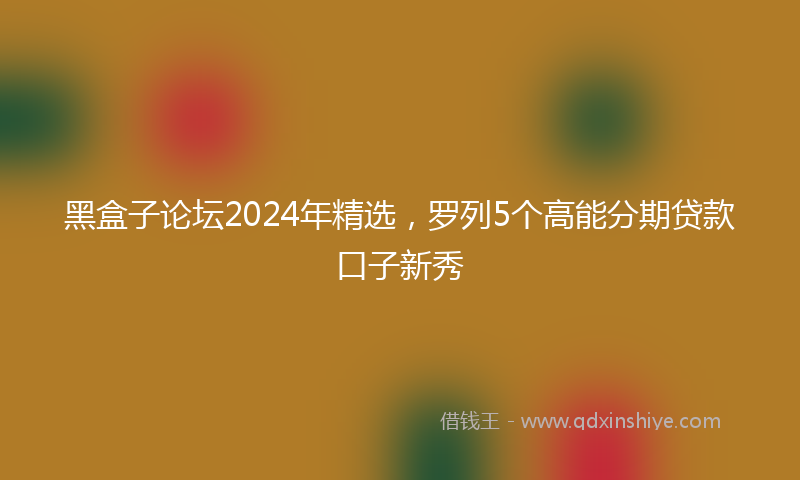 黑盒子论坛2024年精选，罗列5个高能分期贷款口子新秀