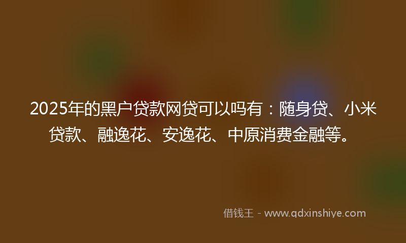 2025年的黑户贷款网贷可以吗有：随身贷、小米贷款、融逸花、安逸花、中原消费金融等。