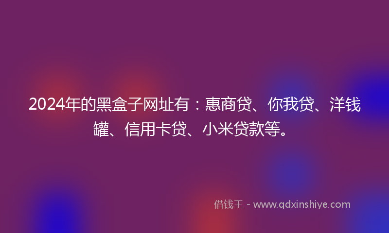 2024年的黑盒子网址有：惠商贷、你我贷、洋钱罐、信用卡贷、小米贷款等。