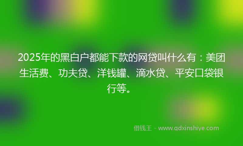 2025年的黑白户都能下款的网贷叫什么有：美团生活费、功夫贷、洋钱罐、滴水贷、平安口袋银行等。