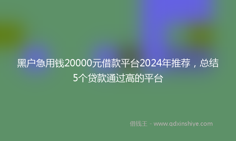 黑户急用钱20000元借款平台2024年推荐,总结5个贷款通过高的平台