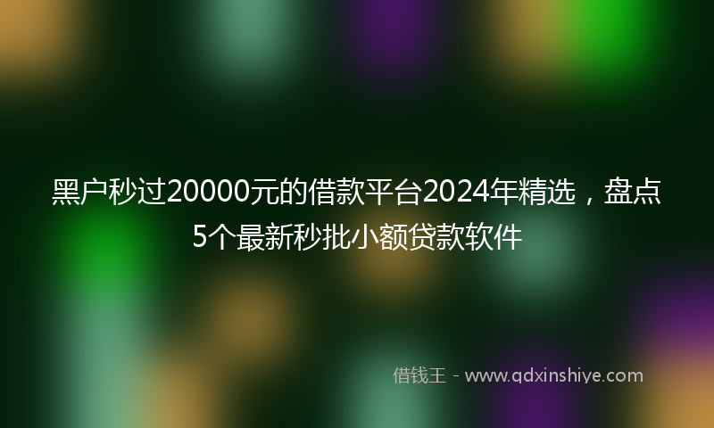 黑户秒过20000元的借款平台2024年精选，盘点5个最新秒批小额贷款软件