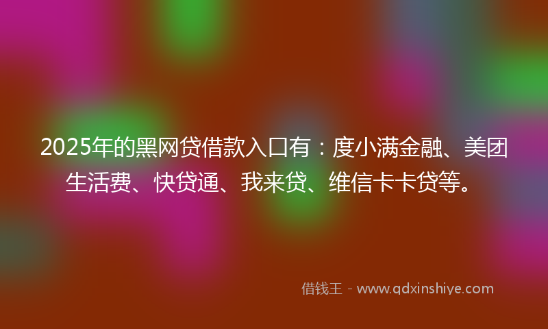 2025年的黑网贷借款入口有：度小满金融、美团生活费、快贷通、我来贷、维信卡卡贷等。