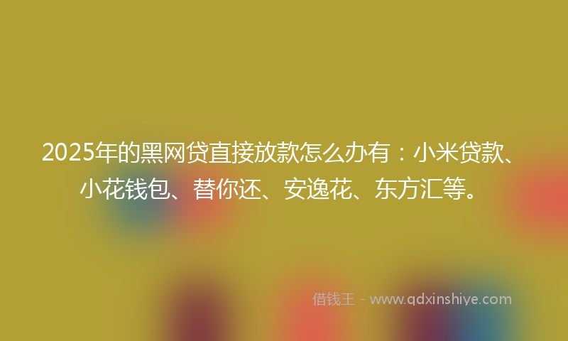 2025年的黑网贷直接放款怎么办有：小米贷款、小花钱包、替你还、安逸花、东方汇等。