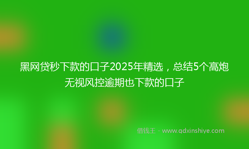 黑网贷秒下款的口子2025年精选，总结5个高炮无视风控逾期也下款的口子