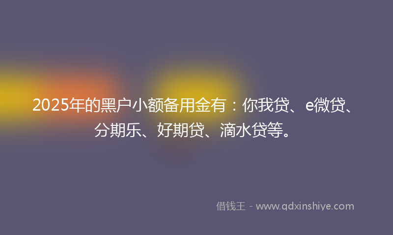 2025年的黑户小额备用金有：你我贷、e微贷、分期乐、好期贷、滴水贷等。