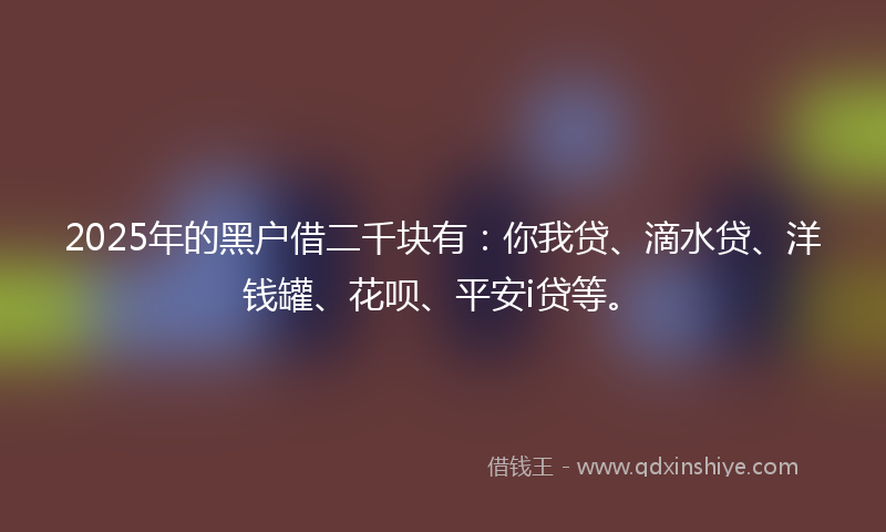 2025年的黑户借二千块有：你我贷、滴水贷、洋钱罐、花呗、平安i贷等。