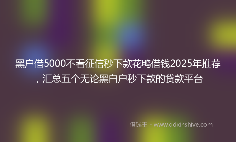 黑户借5000不看征信秒下款花鸭借钱2025年推荐，汇总五个无论黑白户秒下款的贷款平台