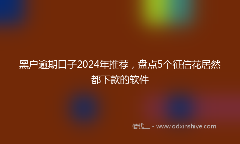 黑户逾期口子2024年推荐，盘点5个征信花居然都下款的软件