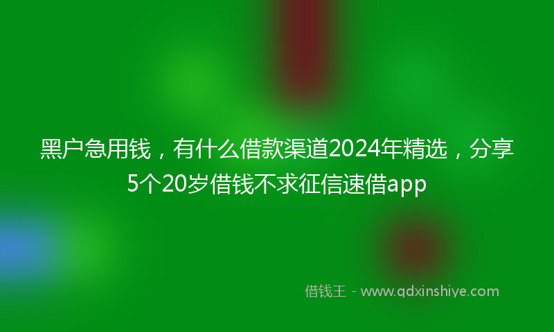 黑户急用钱，有什么借款渠道2024年精选，分享5个20岁借钱不求征信速借app