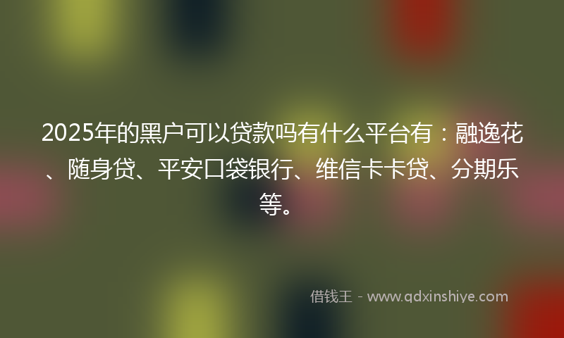 2025年的黑户可以贷款吗有什么平台有：融逸花、随身贷、平安口袋银行、维信卡卡贷、分期乐等。
