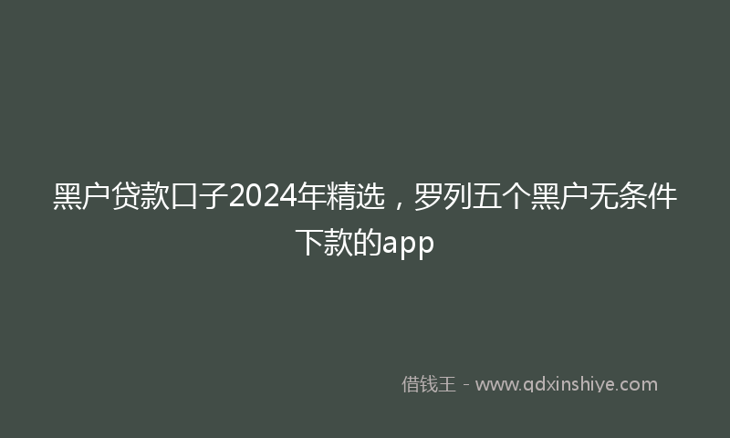 黑户贷款口子2024年精选，罗列五个黑户无条件下款的app