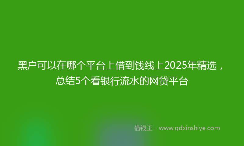黑户可以在哪个平台上借到钱线上2025年精选，总结5个看银行流水的网贷平台