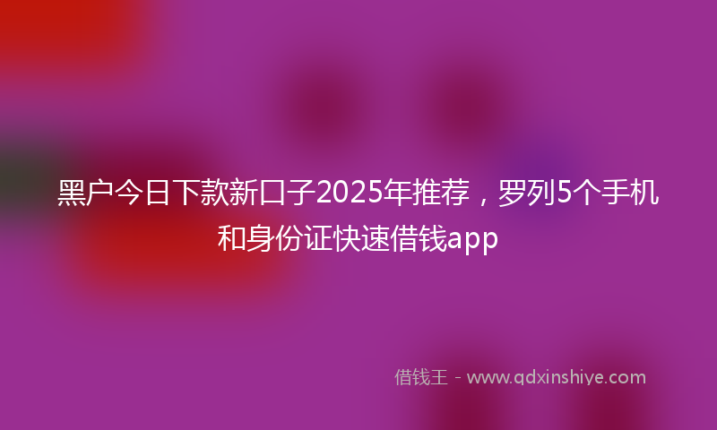黑户今日下款新口子2025年推荐，罗列5个手机和身份证快速借钱app