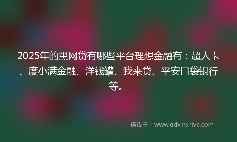 2025年的黑网贷有哪些平台理想金融有：超人卡、度小满金融、洋钱罐、我来贷、平安口袋银行等。