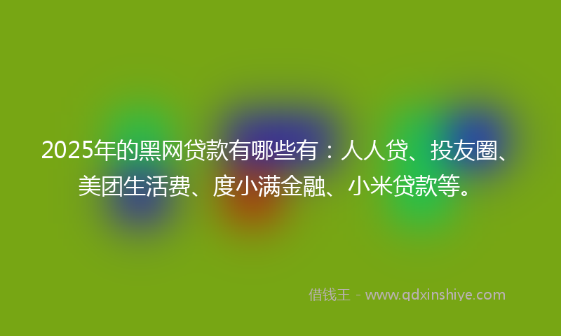 2025年的黑网贷款有哪些有：人人贷、投友圈、美团生活费、度小满金融、小米贷款等。