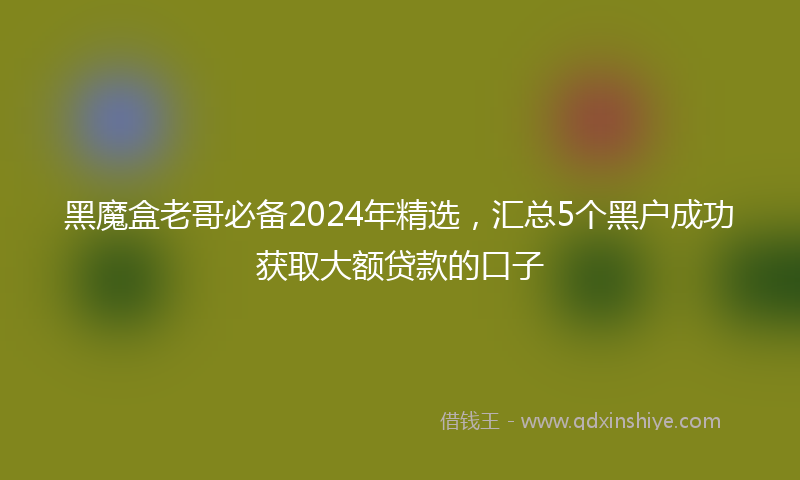 黑魔盒老哥必备2024年精选，汇总5个黑户成功获取大额贷款的口子