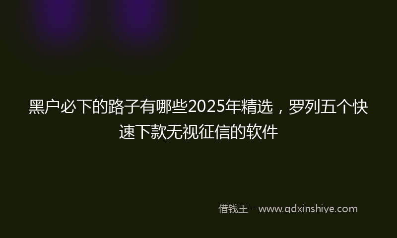黑户必下的路子有哪些2025年精选，罗列五个快速下款无视征信的软件