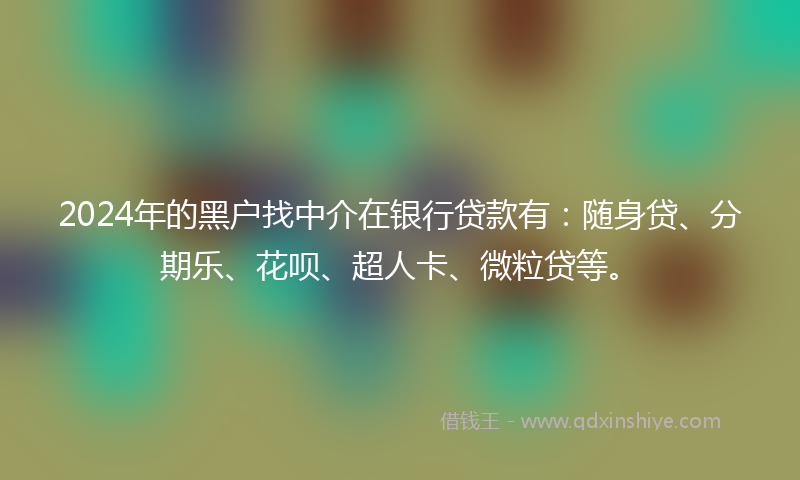 2024年的黑户找中介在银行贷款有：随身贷、分期乐、花呗、超人卡、微粒贷等。