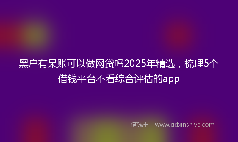 黑户有呆账可以做网贷吗2025年精选，梳理5个借钱平台不看综合评估的app