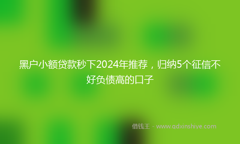 黑户小额贷款秒下2024年推荐，归纳5个征信不好负债高的口子
