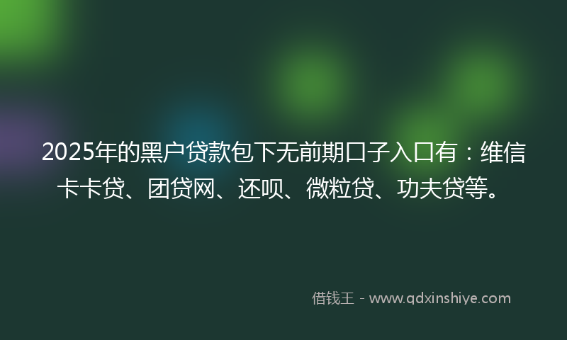 2025年的黑户贷款包下无前期口子入口有：维信卡卡贷、团贷网、还呗、微粒贷、功夫贷等。