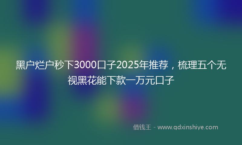 黑户烂户秒下3000口子2025年推荐，梳理五个无视黑花能下款一万元口子