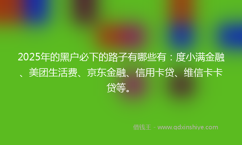 2025年的黑户必下的路子有哪些有：度小满金融、美团生活费、京东金融、信用卡贷、维信卡卡贷等。