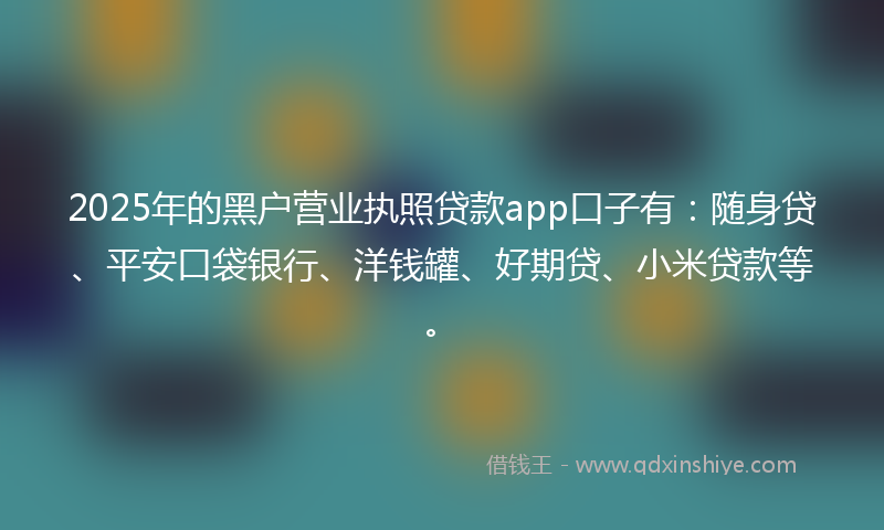 2025年的黑户营业执照贷款app口子有：随身贷、平安口袋银行、洋钱罐、好期贷、小米贷款等。