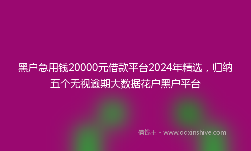 黑户急用钱20000元借款平台2024年精选，归纳五个无视逾期大数据花户黑户平台