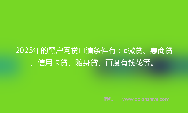 2025年的黑户网贷申请条件有：e微贷、惠商贷、信用卡贷、随身贷、百度有钱花等。