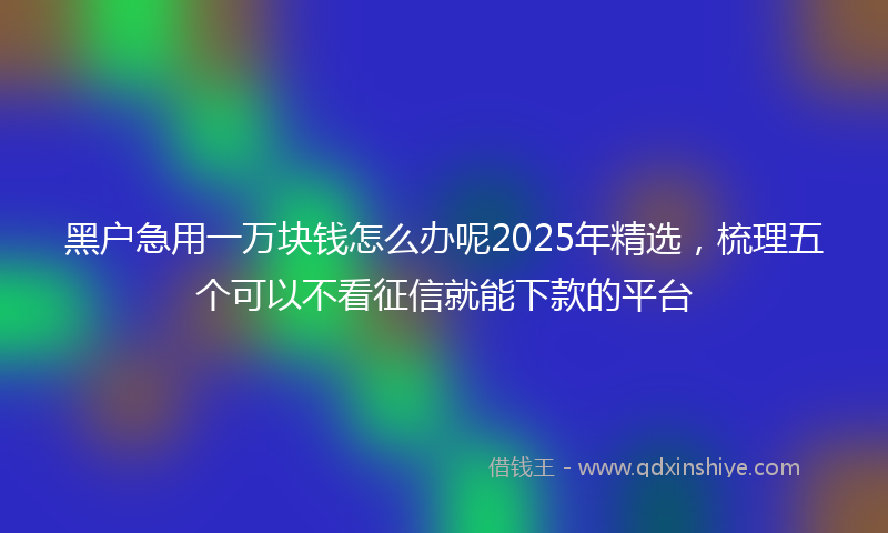 黑户急用一万块钱怎么办呢2025年精选，梳理五个可以不看征信就能下款的平台