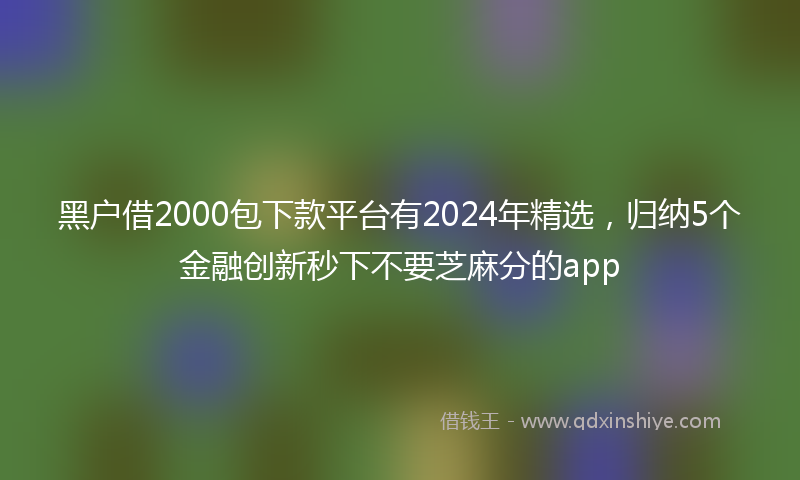 黑户借2000包下款平台有2024年精选，归纳5个金融创新秒下不要芝麻分的app