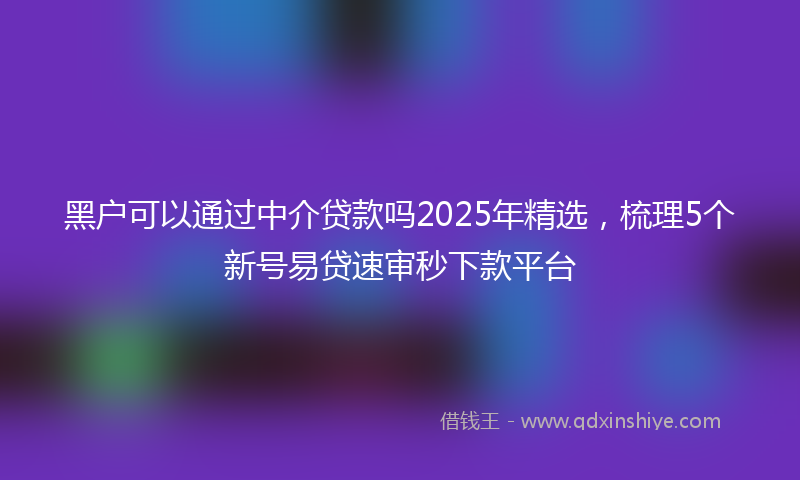 黑户可以通过中介贷款吗2025年精选，梳理5个新号易贷速审秒下款平台