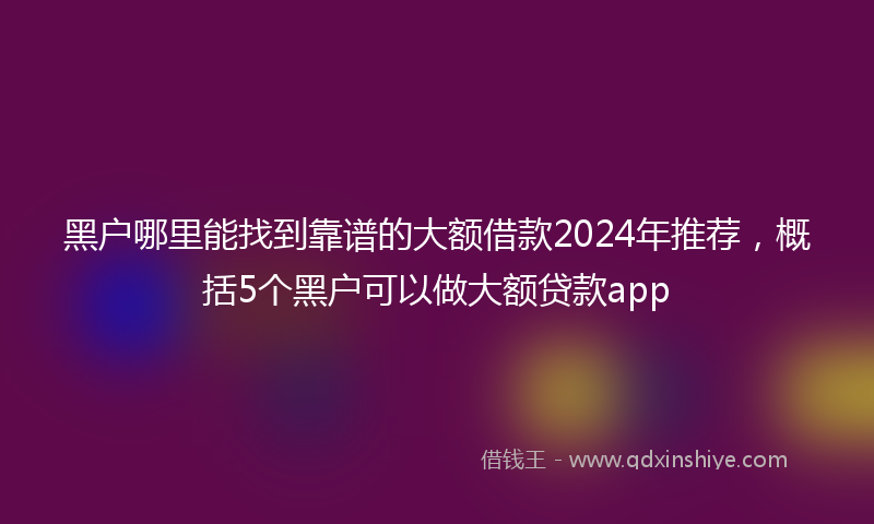 黑户哪里能找到靠谱的大额借款2024年推荐，概括5个黑户可以做大额贷款app