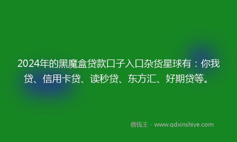 2024年的黑魔盒贷款口子入口杂货星球有：你我贷、信用卡贷、读秒贷、东方汇、好期贷等。