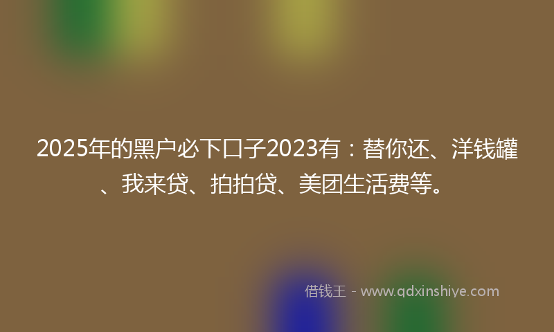 2025年的黑户必下口子2023有：替你还、洋钱罐、我来贷、拍拍贷、美团生活费等。