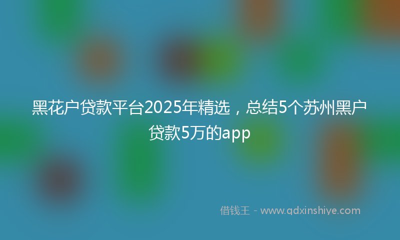 黑花户贷款平台2025年精选，总结5个苏州黑户贷款5万的app