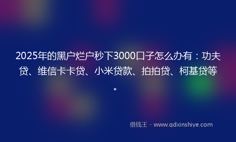 2025年的黑户烂户秒下3000口子怎么办有：功夫贷、维信卡卡贷、小米贷款、拍拍贷、柯基贷等。