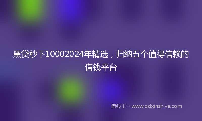 黑贷秒下10002024年精选，归纳五个值得信赖的借钱平台