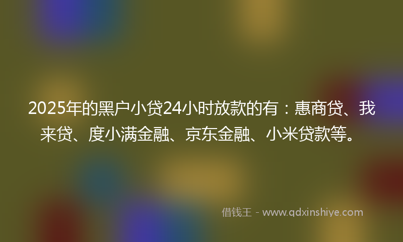 2025年的黑户小贷24小时放款的有：惠商贷、我来贷、度小满金融、京东金融、小米贷款等。