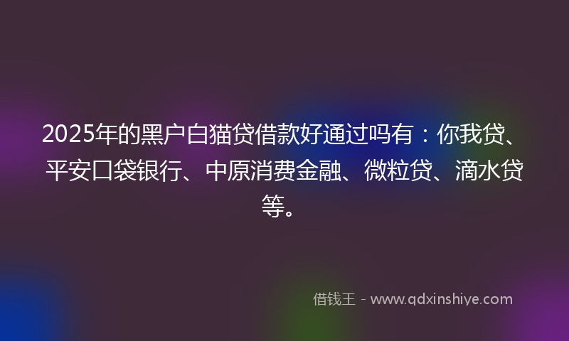 2025年的黑户白猫贷借款好通过吗有：你我贷、平安口袋银行、中原消费金融、微粒贷、滴水贷等。