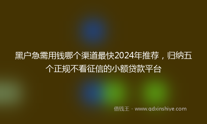 黑户急需用钱哪个渠道最快2024年推荐，归纳五个正规不看征信的小额贷款平台