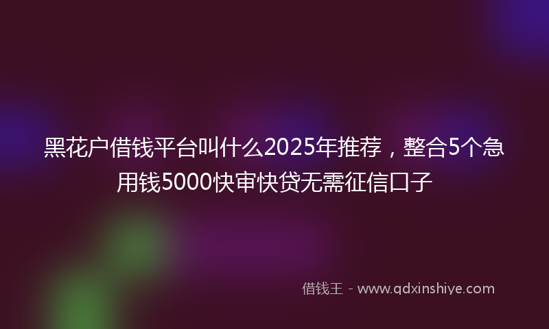 黑花户借钱平台叫什么2025年推荐，整合5个急用钱5000快审快贷无需征信口子