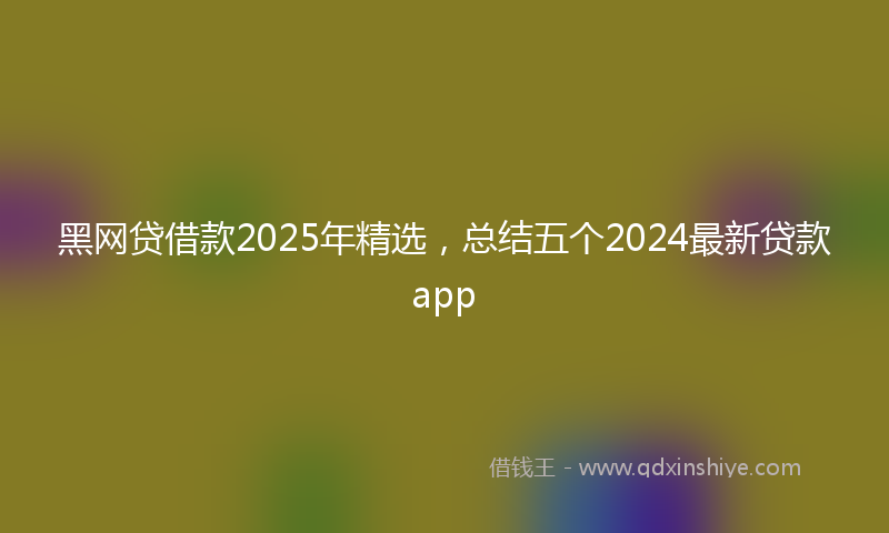 黑网贷借款2025年精选，总结五个2024最新贷款app