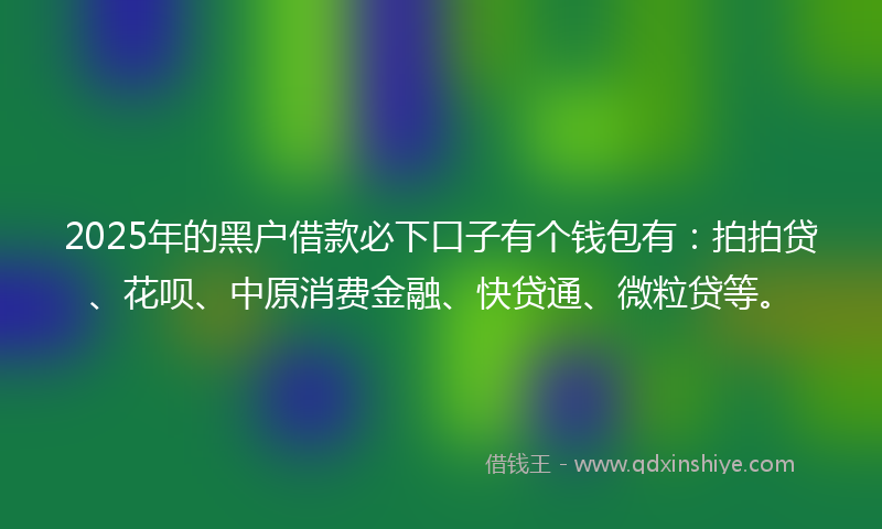 2025年的黑户借款必下口子有个钱包有：拍拍贷、花呗、中原消费金融、快贷通、微粒贷等。