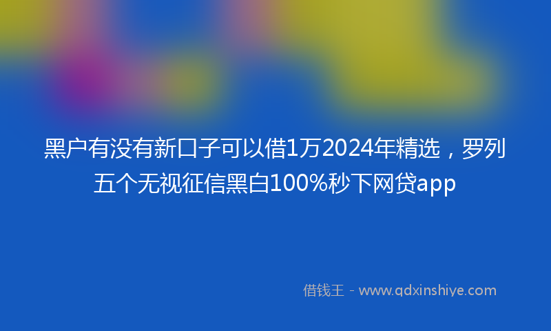 黑户有没有新口子可以借1万2024年精选，罗列五个无视征信黑白100%秒下网贷app