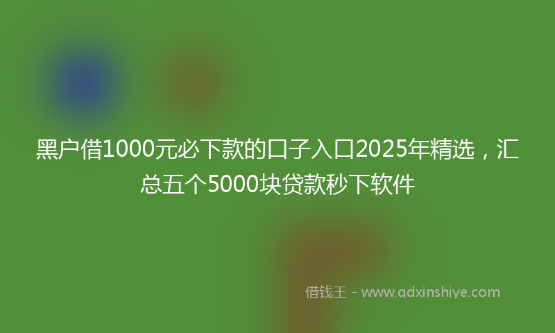 黑户借1000元必下款的口子入口2025年精选，汇总五个5000块贷款秒下软件